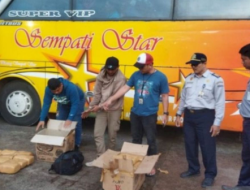 Bus Mencurigakan Disetop Polisi, Penyelundupan Narkoba Jenis Ganja